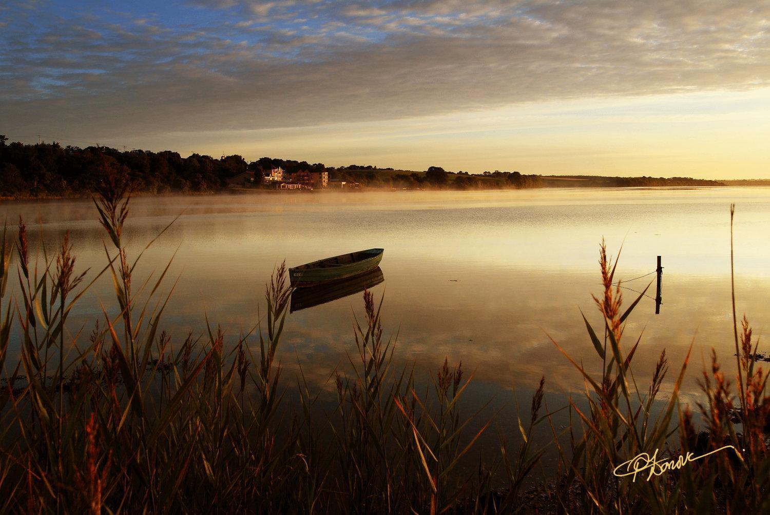 โรงแรมเฟอร์ริคาร์ริก Ferrycarrig ภายนอก รูปภาพ